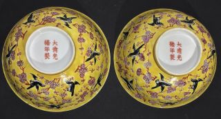 Antique Famille Jaune Yellow Ground Enamel Guangxu Blackbirds Bowl Pair 19th C.