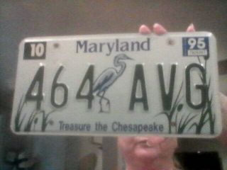 1995 Maryland Treasure The Chesapeake License Plate