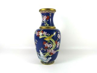 Old Chinese Cloisonne Cobalt Blue Enamel Vase With Birds And Cherry Blossoms 10 "
