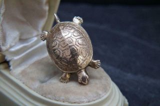 Lovely Antique Art Deco French Gilt Metal Tortoise/turtle Dress Clip