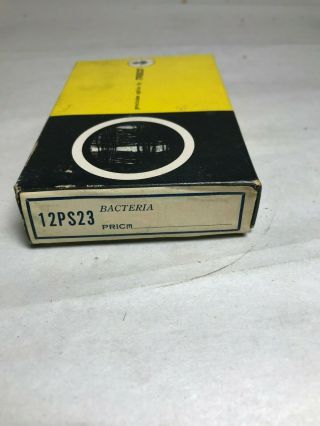Vintage Tasco Prepared Slides Bacteria Made In Japan Set Of 12 Slides (a058)