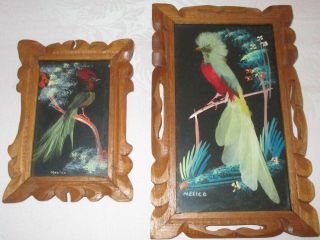 2 Vintage Mexican Feather Craft Bird Pictures Hand Carved Wood Framed Folk Art