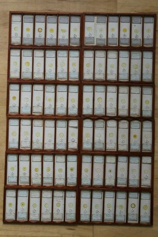 Cased Set Of 72 Antique Diatom Microscope Slides By W.  A.  Firth