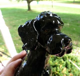 Vintage Goebel Large Black Poodle Dog