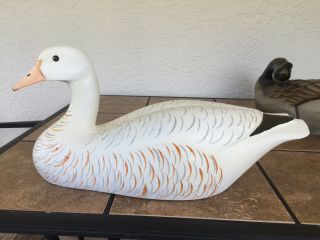 Vintage Wood Carved Snow Goose White Decoy 24 " Signed " Bundy " Collectible