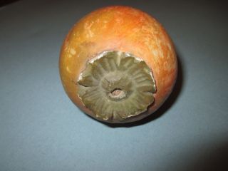 Early Antique Italian Alabaster Stone Fruit Orange Persimmon Molded Brown Top