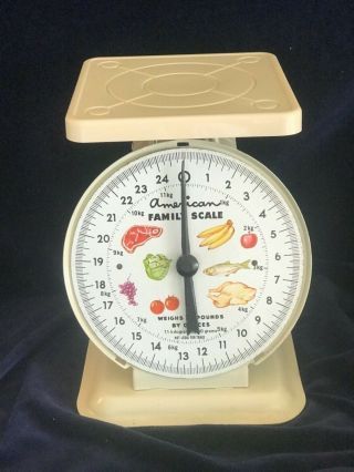 Vintage American Family Kitchen Food Scale 25 Lb.  No Rust.
