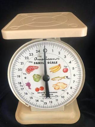 Vintage American Family kitchen food scale 25 lb.  No Rust. 2