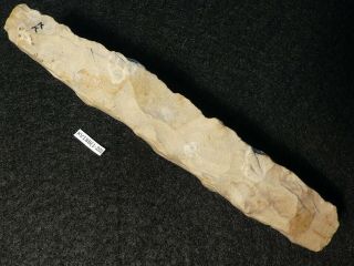 4800y.  O: Terrific Chisel 135mms Danish Stone Age Neolithic Single Grave C Flint