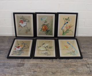 Nine Vintage Chinese Watercolour On Silk Paintings Of Floral & Bird Design.