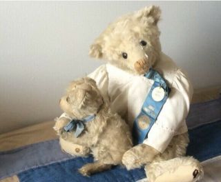 Antique Steiff Teddy Bear 1904c White Mohair Sweet Face With Her Steiff Puppy