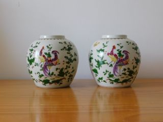 C.  19th - Antique Chinese China Famille Rose Porcelain Ginger Jar Set Pair