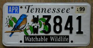 1999 Tennessee Watchable Wildlife Blue Bird Bluebird License Plate Ww 3841