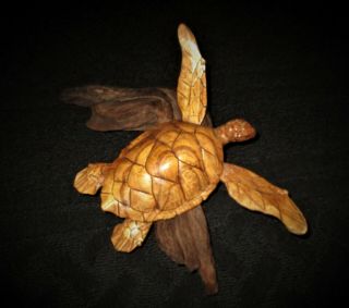 Hawaii Vintage Turtle Wood Carving On Driftwood 14 " W X 7 " T X 9 " D Honu