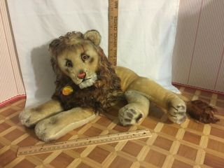 24 " Vintage Steiff Leo The Lion With Steiff Tag Around Neck.  (p50)