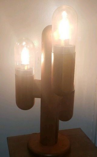 Mid Century Cactus Lamp By Modeline Co.  Vintage Wood Danish