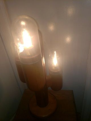 Mid Century Cactus lamp by Modeline co.  Vintage wood Danish 3