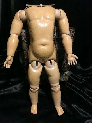 17 1/2 " Antique Composition Doll Body