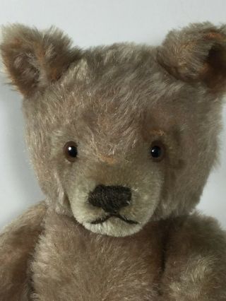 Antique Steiff Growler Teddy Bear Plush Mohair Straw Stuffed Fully Jointed 1763 2