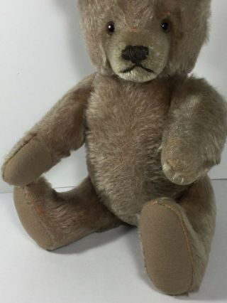 Antique Steiff Growler Teddy Bear Plush Mohair Straw Stuffed Fully Jointed 1763 3