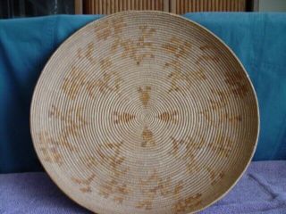 Large Antique Native American Gaming Tray Basket 18.  5 " X 1.  5 "