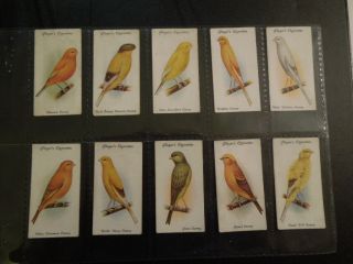 1933 Aviary & Cage Birds Complete Parrot Canary Tobacco Card Set Of 50 Cards