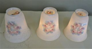 Set Of 3 Vintage/antique Victorian Reverse Painted Etched Art Glass Shades