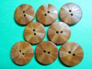 (8) 7/8 " Vintage Decorative Brown Vegetable Ivory 2 - Hole Buttons (x11)