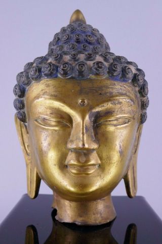 Fine Old Chinese Tibetan Buddha Gold Gilt Bronze Head W/ Blue Pigmented Hair