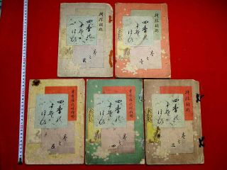 2 - 30 Rare Japanese Kimono Deign Shiki Woodblock Print 5 Book