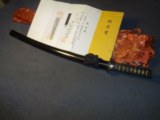 K24 Japanese Sword Wakizashi In Mountings " Takada Yukimitsu,  Nbthk Paper