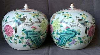 19th C Chinese Famille Rose Porcelain Jars With Lids Tongzhi Period