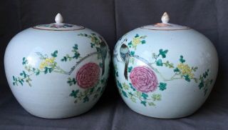 19th C Chinese Famille Rose Porcelain Jars with Lids Tongzhi Period 3