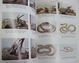 Poisonous Snakes of the World,  NAVMED P - 5099,  G,  HB,  1965 Revision C 2
