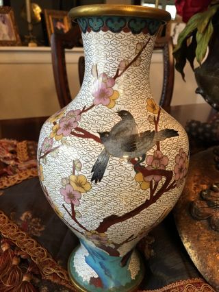 Large 10.  25 " Tall Chinese Cloisonne Enamel Vase,  Birds,  Flowers,  Tree