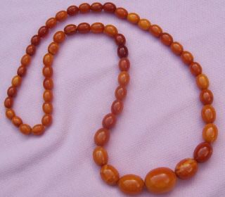 Real Antique Butterscotch Baltic Amber Bead Necklace 49.  6 Grams 28 " Long