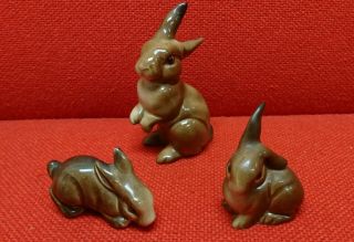Early Vintage Beswick Bunny Rabbit Family X 4 Styles Perfect C.  1950 