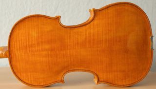 Old Viola Bratsche Violin Cello Fiddle Label Stefano Scarampella