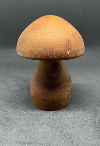 Vtg Wood Miniature Mushroom Handcrafted Of Colorado Aspen Denver