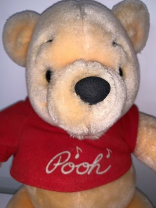 Winnie the Pooh Musical Plush Walt Disney World Disneyland Bear 14 