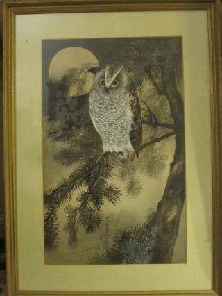 Antique Watercolor On Paper By Toshio Aoki (1854 - 1912) Of Owl In Moonlight