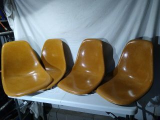 Set 4 Vintage Eames Herman Miller Side Shell Chair Seats Fiberglass Dark Ochre