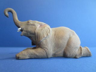 C1939 Aynsley Baby Bull Elephant Porcelain Figurine Early Mark 6.  5 " Animal Vtg
