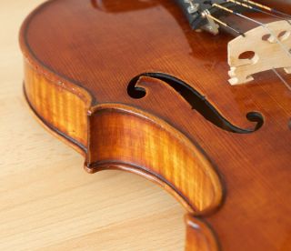 Old Violin 4/4 Geige Viola Cello Fiddle Label Pollastri Gaetano