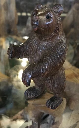 Antique Vintage Hand Carving Of A Black Forest Swiss Bear 4.  5 " Tall
