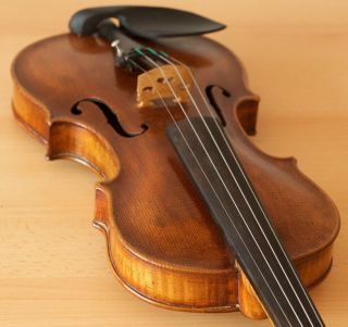 Very Old Labelled Vintage Violin " Carlo Bergonzi " Fiddle 小提琴 ヴァイオリン Geige