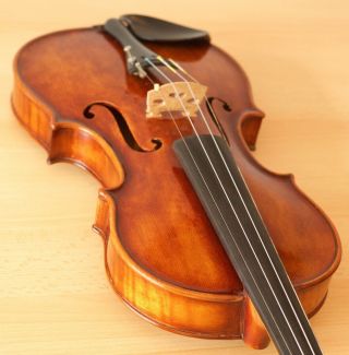 Old Violin 4/4 Geige Viola Cello Fiddle Label Stefano Scarampella
