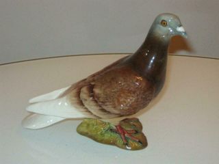 Stunning Vintage Beswick Pigeon Figure 1383 Gloss