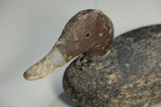 Antique Redhead Duck Decoy Lead Weighted