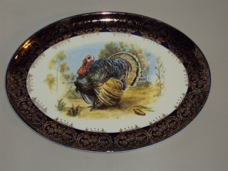 Vtg Colorful 13.  5 " Oval Thanksgiving Wild Turkey Platter With Cobalt & Gold Edge